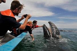 浮出水面,揭秘水下世界的奥秘与挑战