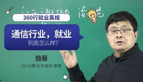 专业人士：保险调查员.天音莲