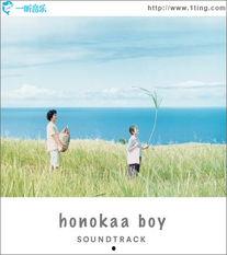 夏威夷男孩,探寻异域风情与音乐魅力